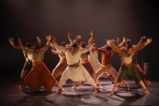 Picture of Event: Naor Walker - Light Dance Company &vert; Solidarity