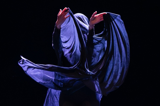 Picture of Event: Hillel Kogan & Danielle Agami &sol; ate8 &vert; DO IT YOURSELF